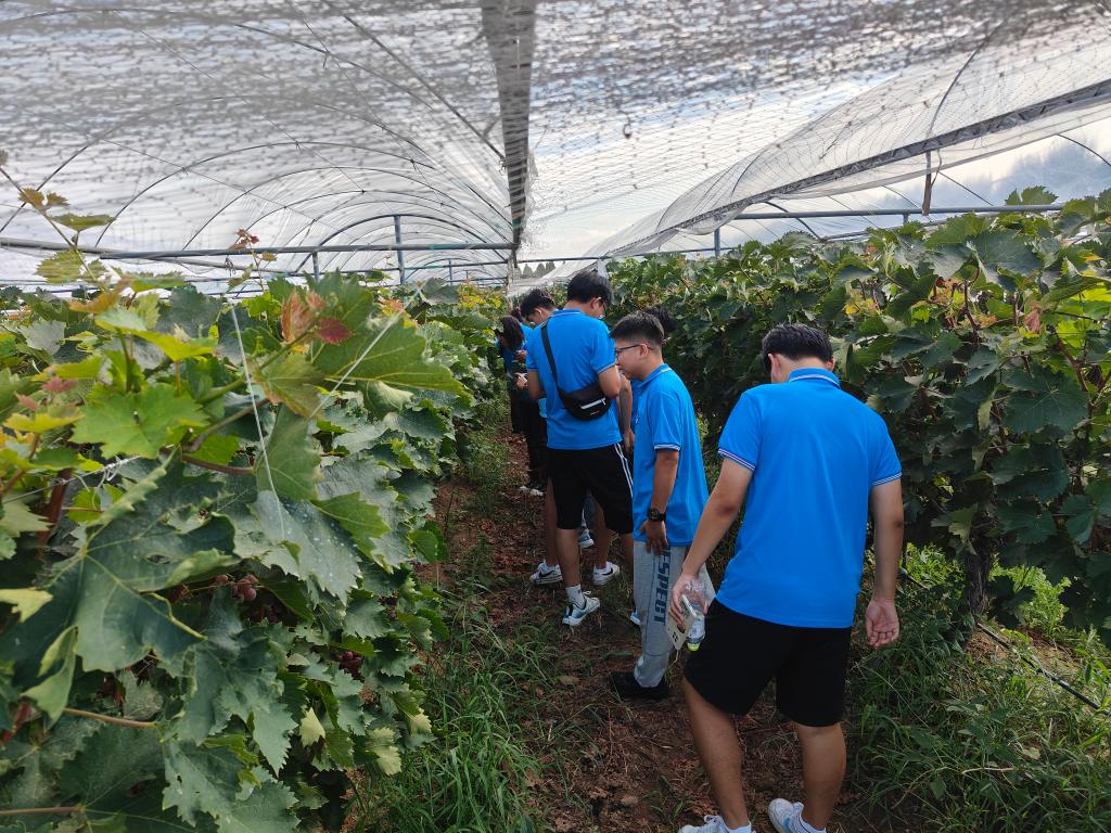 伟德bevictor中文版