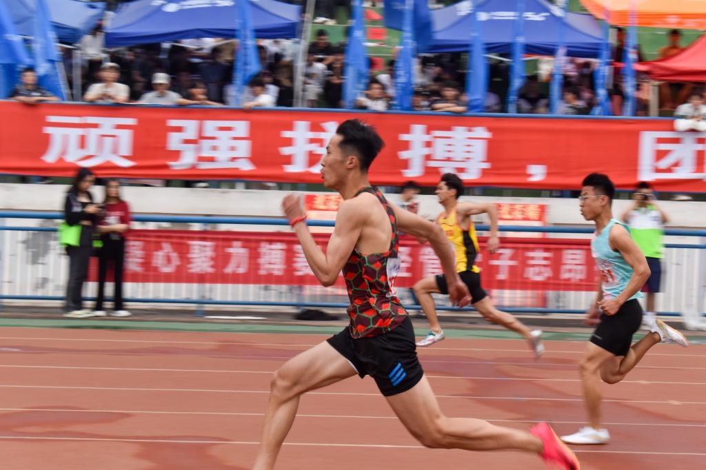 伟德bevictor中文版