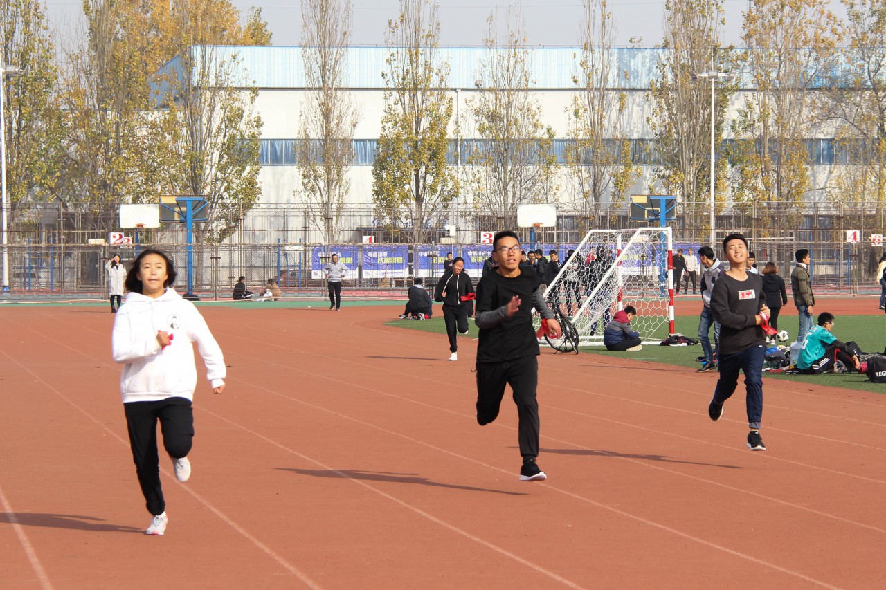 伟德bevictor中文版