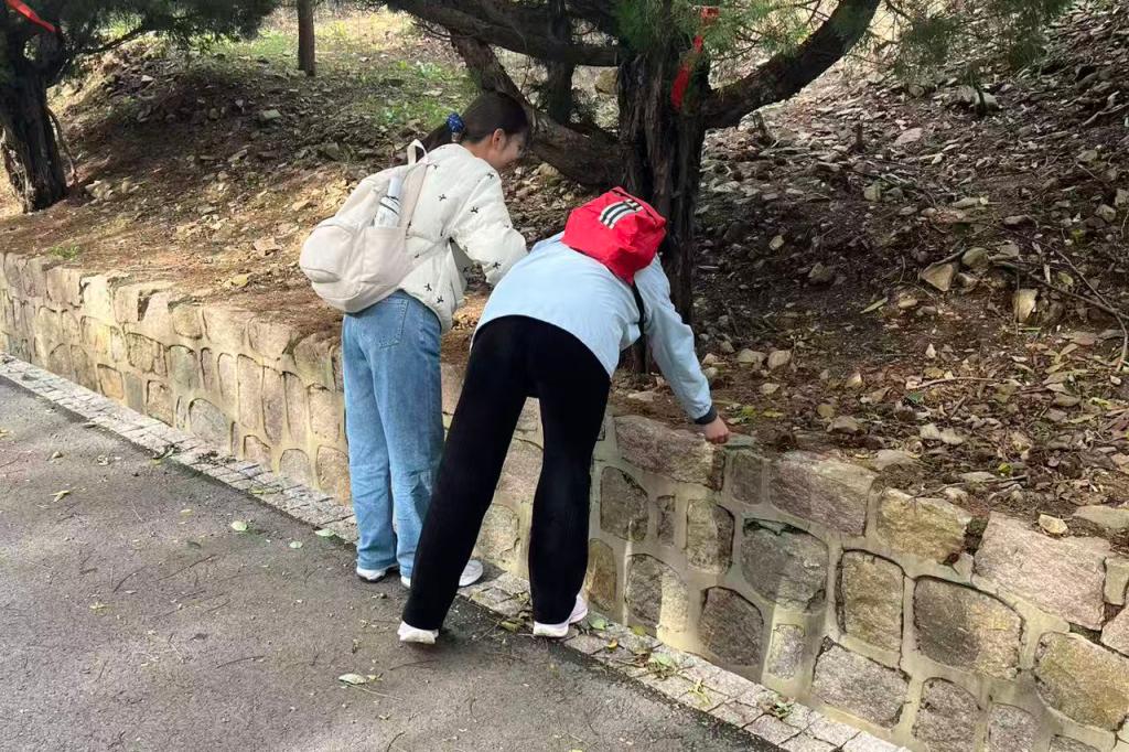 伟德bevictor中文版