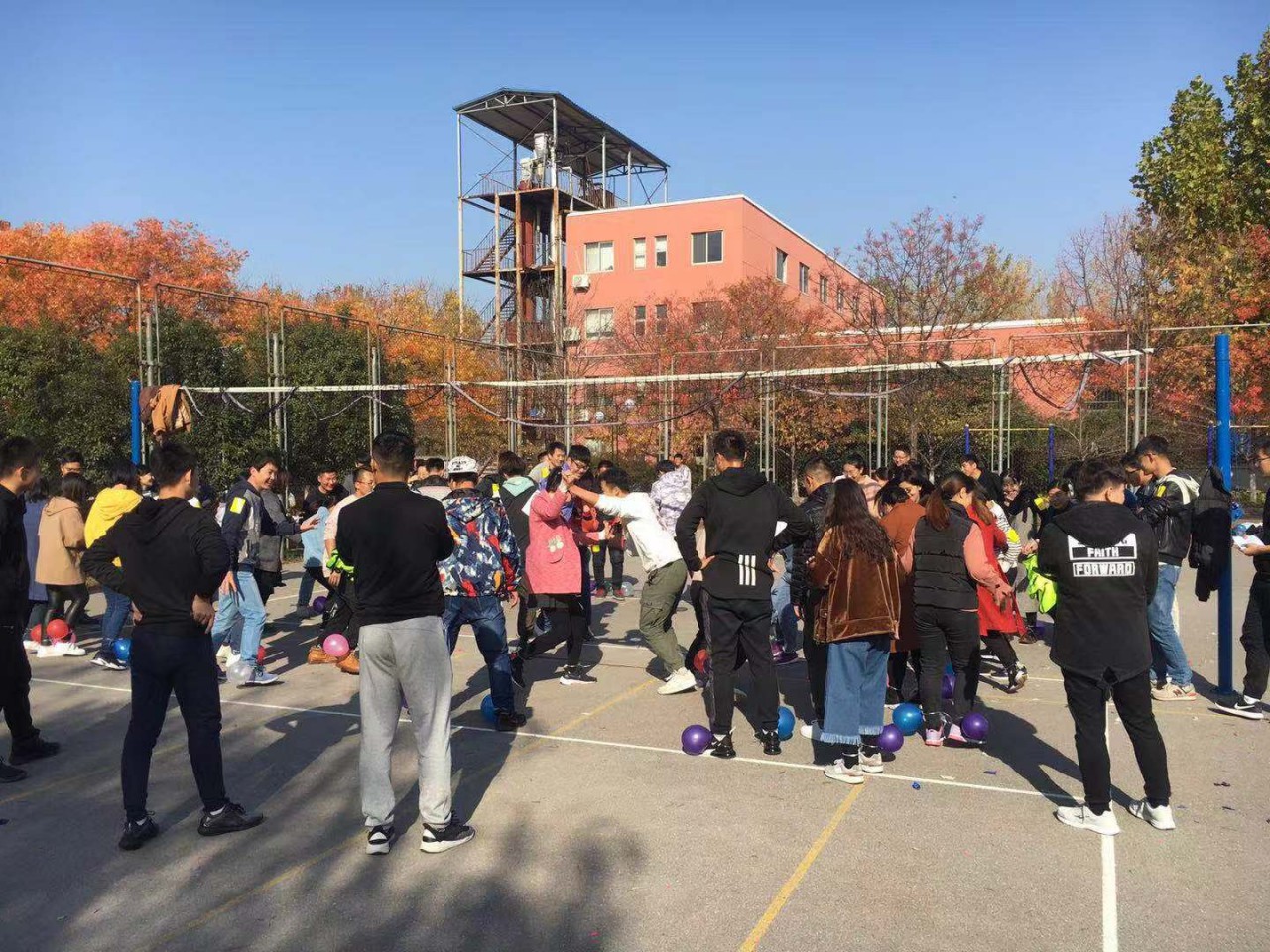 伟德bevictor中文版