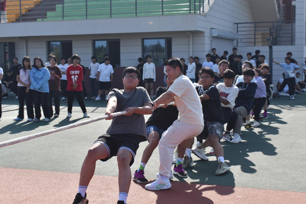 伟德bevictor中文版