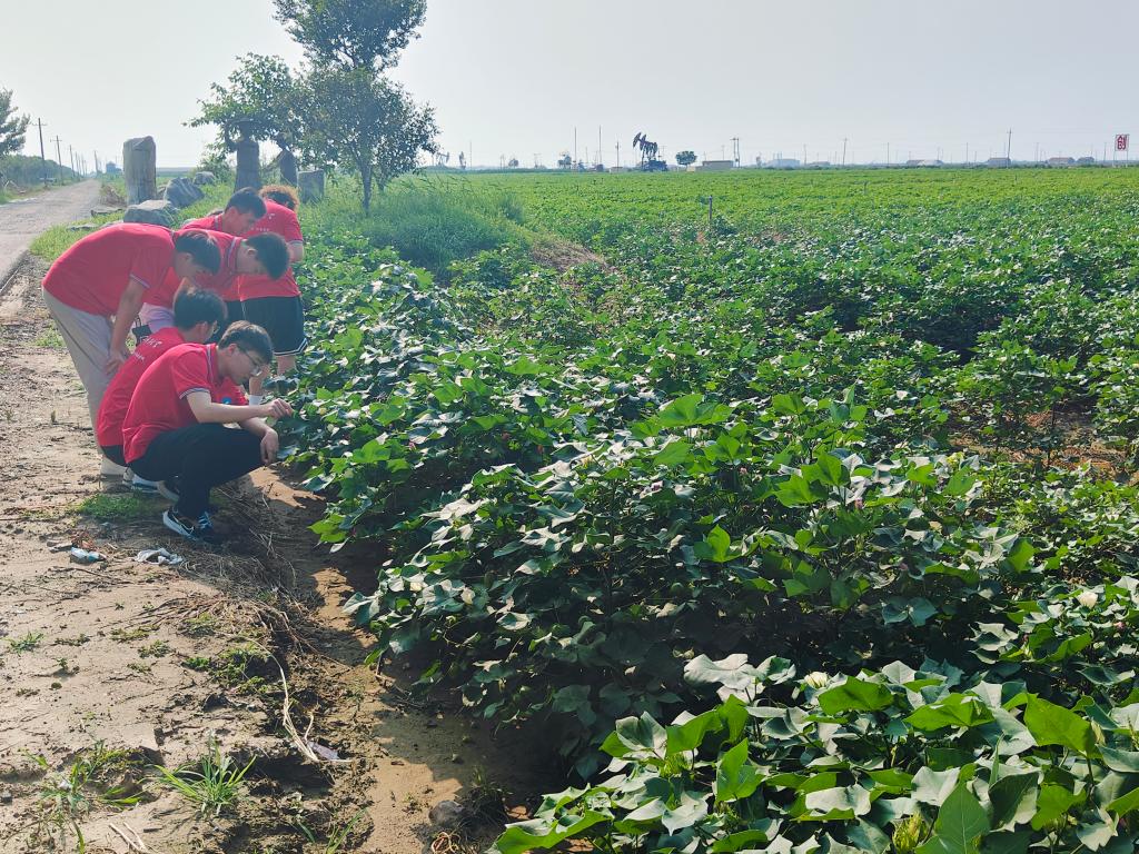 伟德bevictor中文版