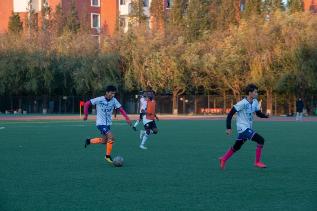 伟德bevictor中文版