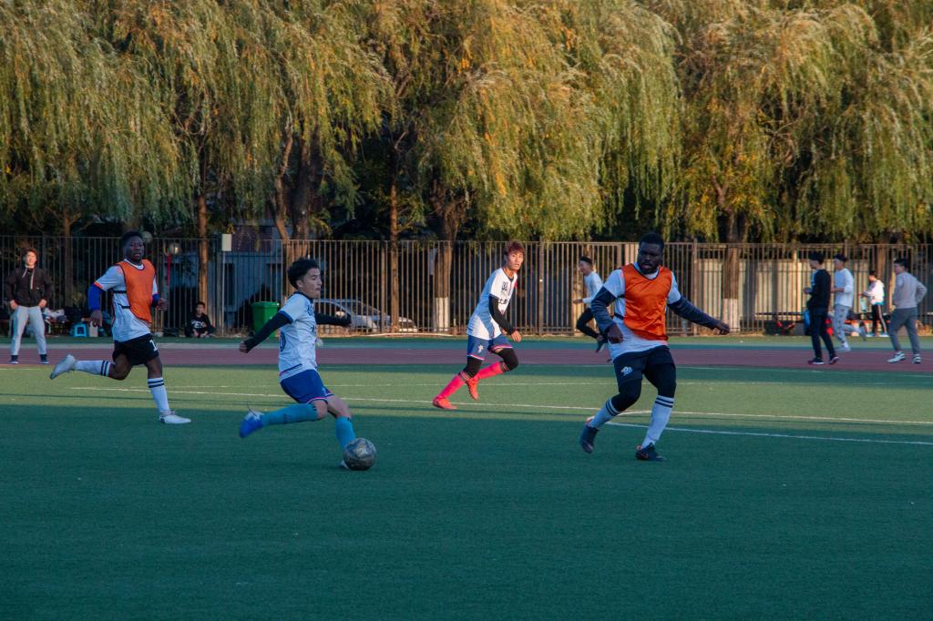 伟德bevictor中文版