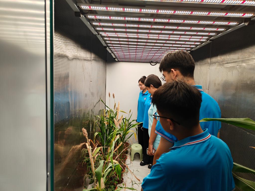 伟德bevictor中文版