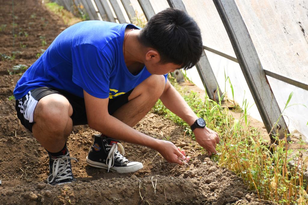 伟德bevictor中文版