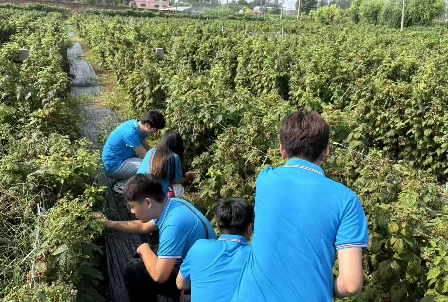 伟德bevictor中文版