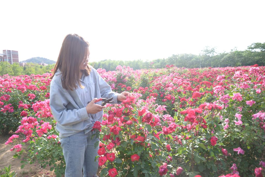 伟德bevictor中文版